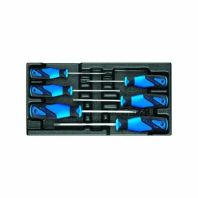 Gedore 1616625 Screwdiver set in 1/3 ES tool module