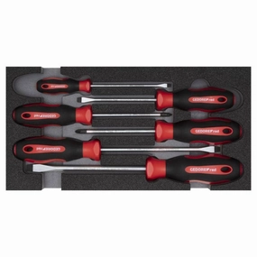 Gedore R22150014 PZ SL Screwdriver Set 2/6 CT-Module 6 Pcs