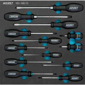 Hazet 163-100/13 Screwdriver Set, 13 Pieces