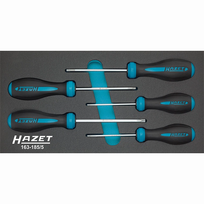 Hazet 163-185/5 HEXAnamic Screwdriver Set, 5 Pieces
