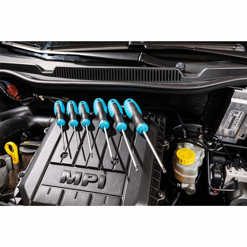 Hazet 163-266/6 TORX Screwdriver Set, 6 Pieces