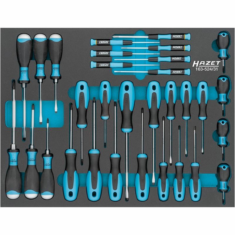 Hazet 163-524/31 Screwdriver Set, 31 Pieces