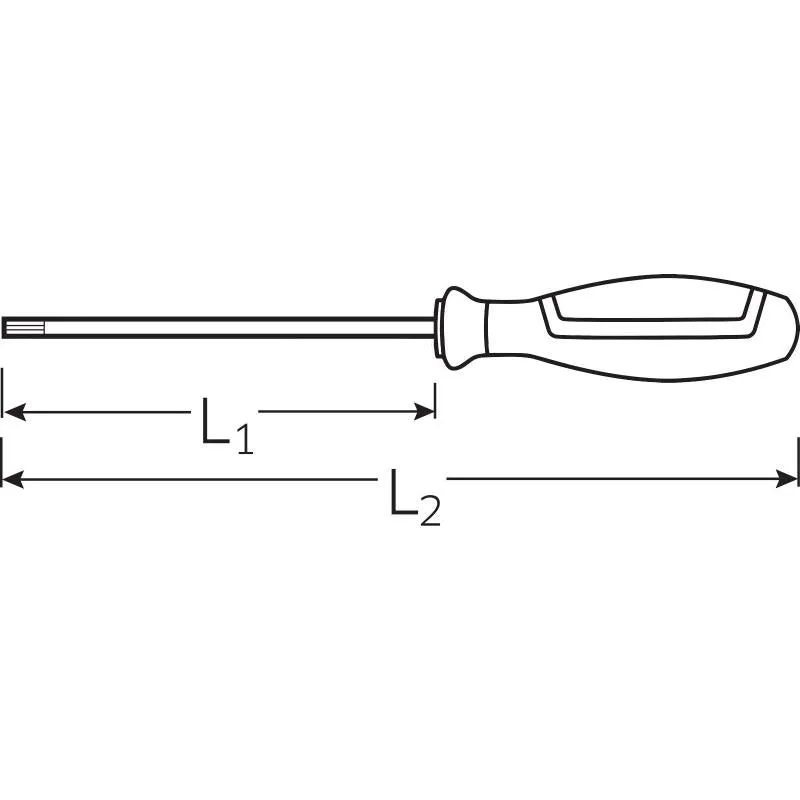 Stahlwille 46363006 4636 DRALL  #6 x 100mm Torq-Set Screwdriver