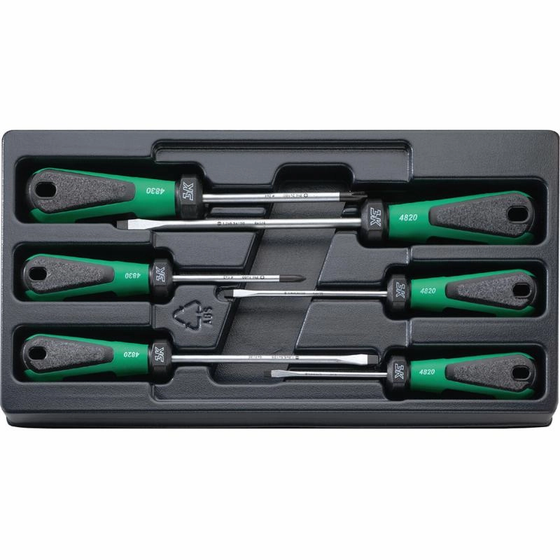 Stahlwille 96489110 4891 3K DRALL 6 Pieces